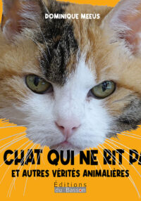 Le chat qui ne rit pas