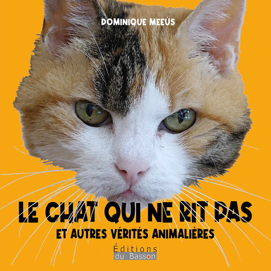 Le chat qui ne rit pas